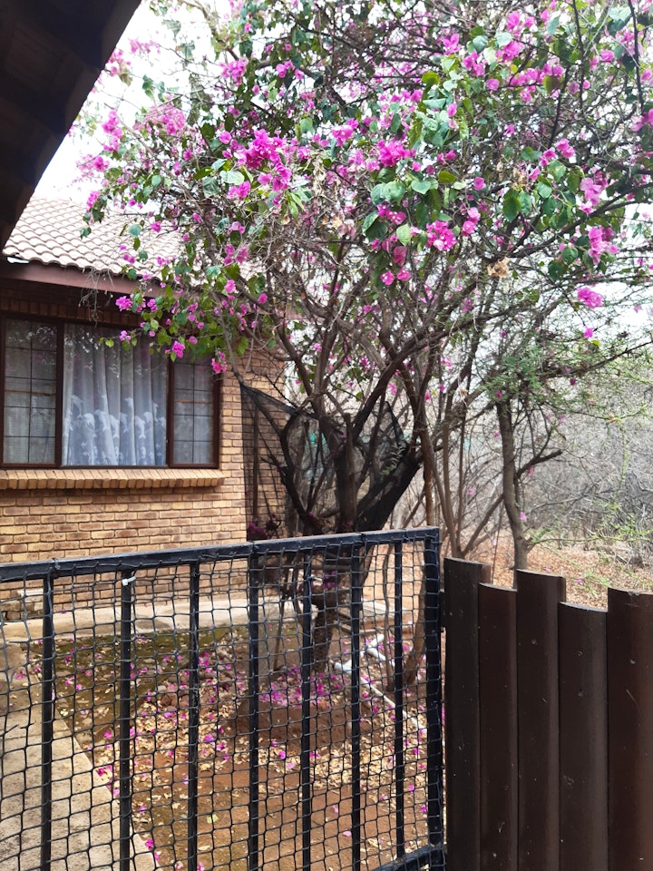 Limpopo Accommodation at Daisylaan 930 Leeupoort | Viya