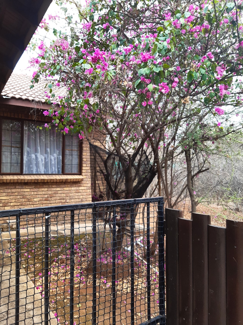 Waterberg Accommodation at  | Viya