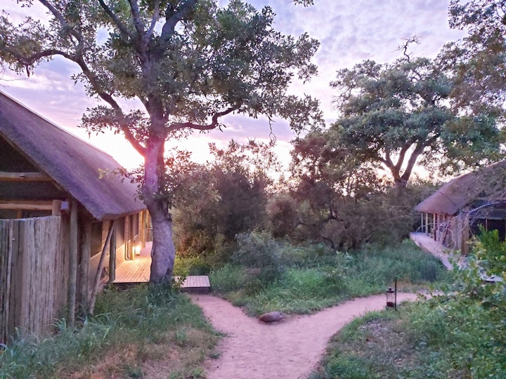 Limpopo Accommodation at Bateleur Safari Camp | Viya