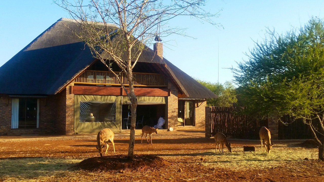 Limpopo Accommodation at  | Viya