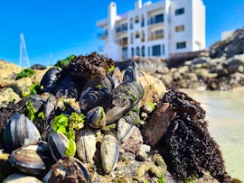 Langebaan Accommodation at Raaswater | Viya