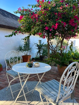 Cape Winelands Accommodation at The Little Gem | Viya