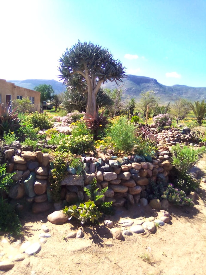 Northern Cape Accommodation at Asbos Skerm Guesthouse | Viya