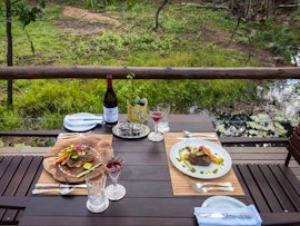 Vaalwater Accommodation at Ndlovu Safari Lodge | Viya