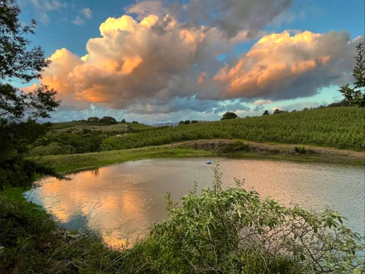 Overberg Accommodation at Annex at Pippins | Viya