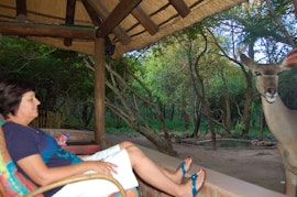 Kruger National Park South Accommodation at Bushbaby Lodge | Viya