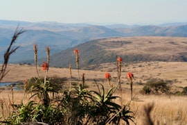 KwaZulu-Natal Accommodation at Hlomo Hlomo Game Reserve | Viya