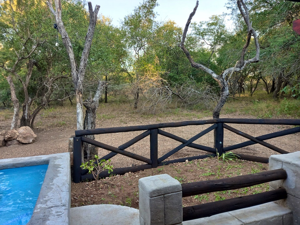 Kruger National Park South Accommodation at  | Viya