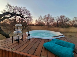 Dinokeng Game Reserve Accommodation at Cikeru Bush Camp - Gecko | Viya