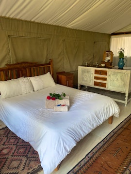 Western Cape Accommodation at  | Viya