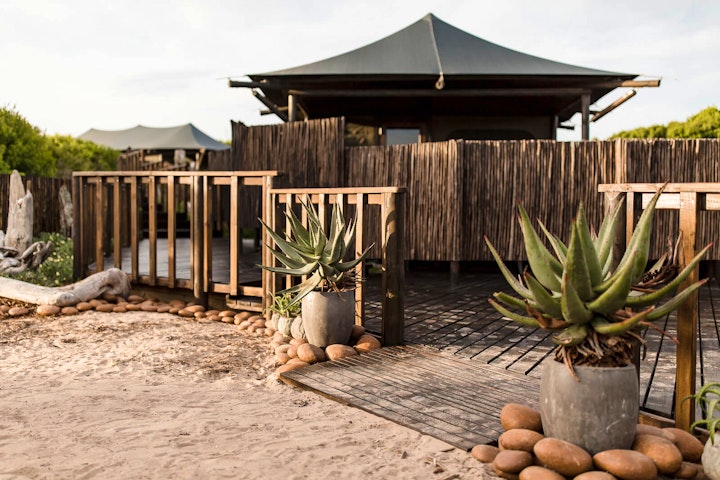 Garden Route Accommodation at Kanon Private Nature Reserve | Viya