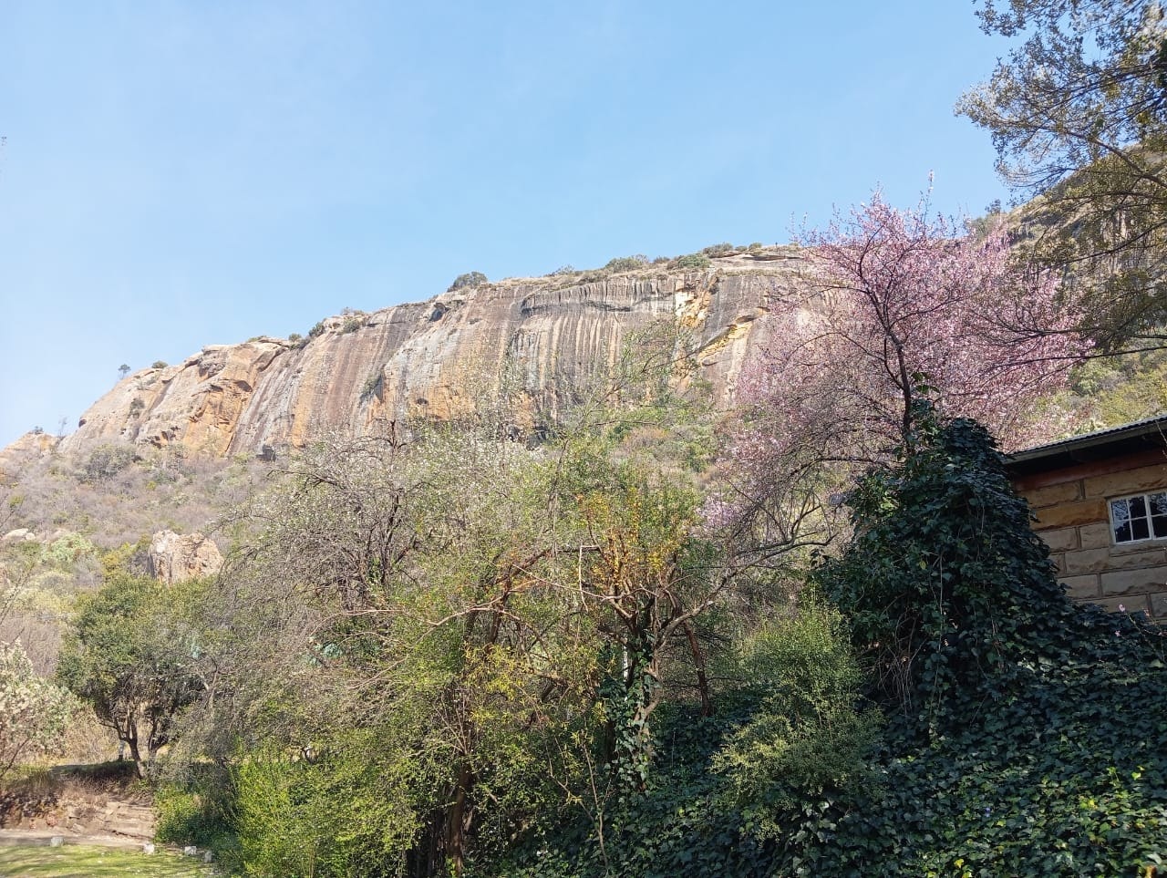 Meiringskloof Nature Park image no 7 of 39