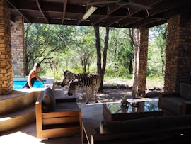 Kruger National Park South Accommodation at The Wild Bunch Safari House | Viya