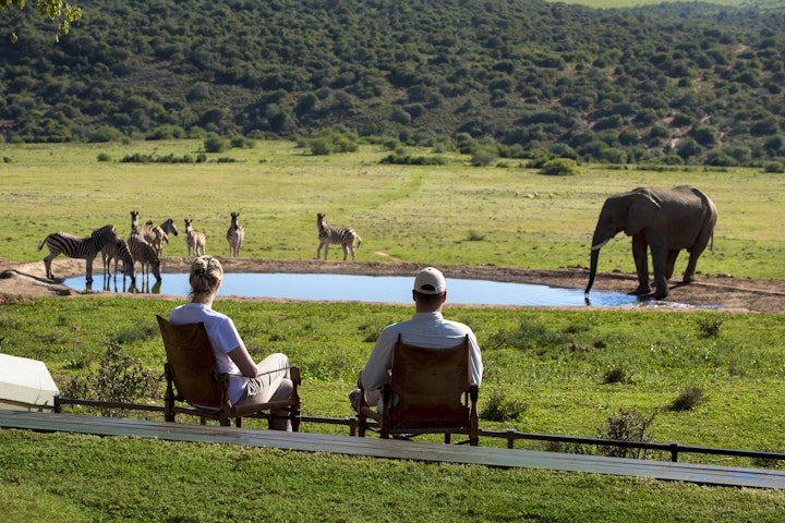 Eastern Cape Accommodation at Gorah Elephant Camp | Viya