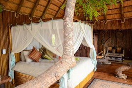 Hoedspruit Accommodation at Pezulu Tree House Lodge | Viya