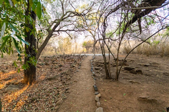 Kruger To Canyons Accommodation at  | Viya