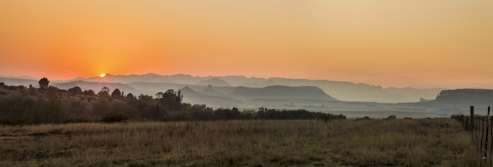 Free State Accommodation at De Hoop Forest Camp | Viya