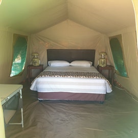 Dinokeng Game Reserve Accommodation at  | Viya