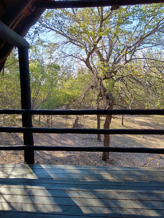 Kruger National Park South Accommodation at  | Viya