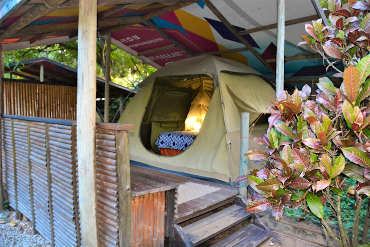Kiepersol Accommodation at Hazyview Adventure Backpackers | Viya