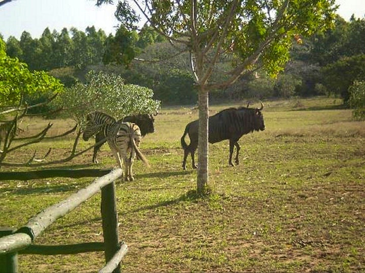 KwaZulu-Natal Accommodation at Sandforest Cottages | Viya