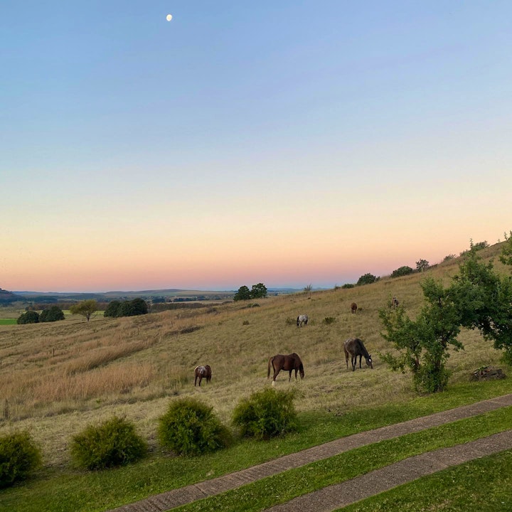 KwaZulu-Natal Accommodation at Qambathi Mountain Lodge | Viya