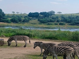 Kruger National Park South Accommodation at Tswenyane Kruger Riverview Apartment 1&2 | Viya