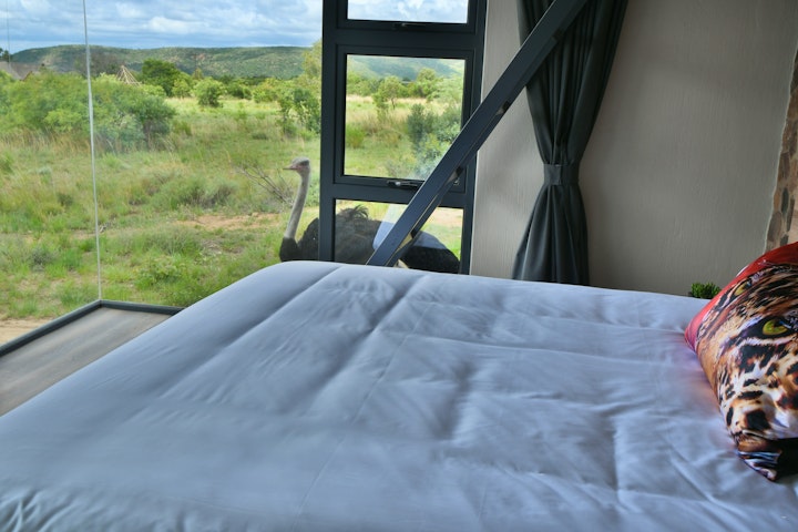 Limpopo Accommodation at Gweda Lodge | Viya