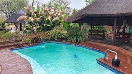 Dinokeng Game Reserve Accommodation at Mooiplasie Bush Camp | Viya