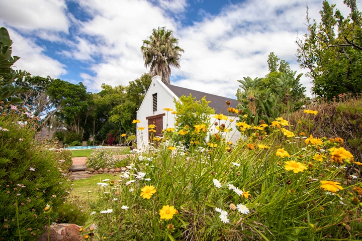 Western Cape Accommodation at Green Olive Guesthouse | Viya