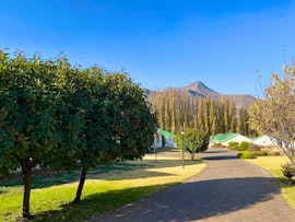 Drakensberg Accommodation at Die Okkerneut | Viya