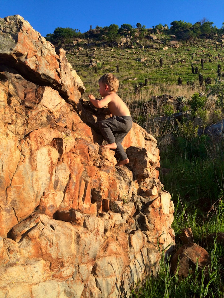 Mpumalanga Accommodation at Tegwaan Country Getaway | Viya