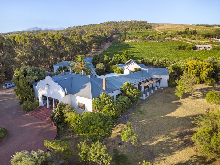 Western Cape Accommodation at 13 Vines | Viya