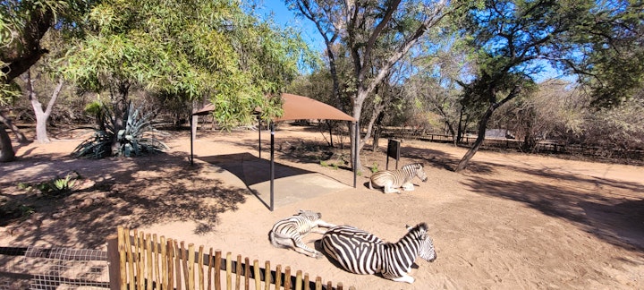 Limpopo Accommodation at Leeupoort Galago Rest | Viya