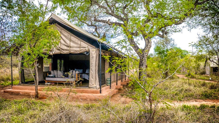  at Honeyguide Tented Safari Camp - Khoka Moya | TravelGround