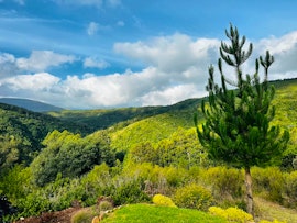 Garden Route Accommodation at The lookout Lodge @ Rivendell Retreat | Viya