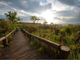 Mpumalanga Accommodation at Shingalana Cottages | Viya