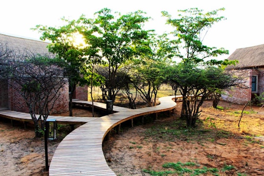 Dinokeng Game Reserve Accommodation at  | Viya