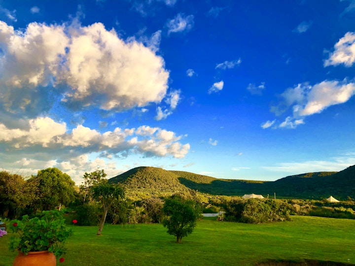 Eastern Cape Accommodation at Parkview Safari Lodge | Viya