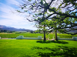 Cape Winelands Accommodation at DuVon Farmhouse | Viya