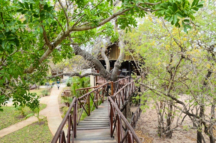 Limpopo Accommodation at Pezulu Tree House Lodge | Viya