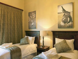 Drakensberg Accommodation at  | Viya