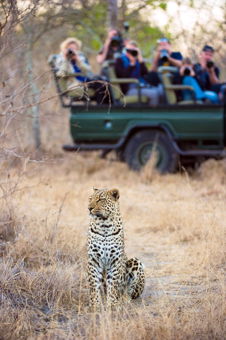 Mpumalanga Accommodation at Elephant Plains Game Lodge | Viya