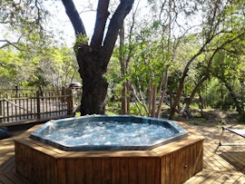 Kruger To Canyons Accommodation at Blyde River Log House | Viya