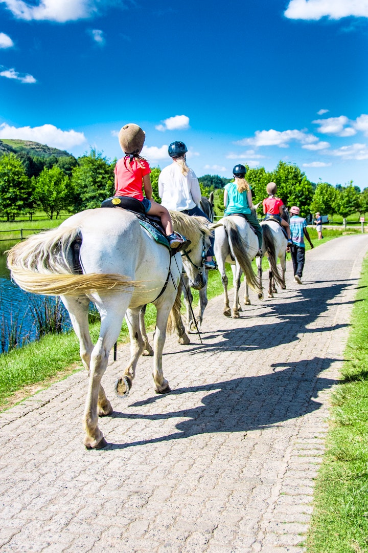 Panorama Route Accommodation at Dunkeld Country and Equestrian Estate | Viya