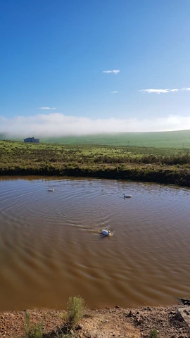 Overberg Accommodation at Blue Window Guesthouse | Viya