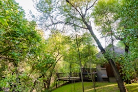 Kruger To Canyons Accommodation at The Island River Lodge | Viya