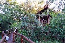 Limpopo Accommodation at  | Viya