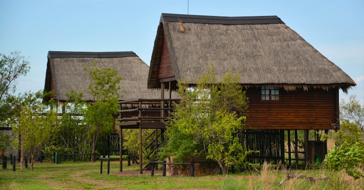 Dinokeng Game Reserve Accommodation at IKhaya LamaDube Game Lodge | Viya