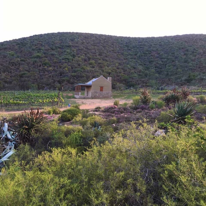 Western Cape Accommodation at Karusa Farm Cottage | Viya